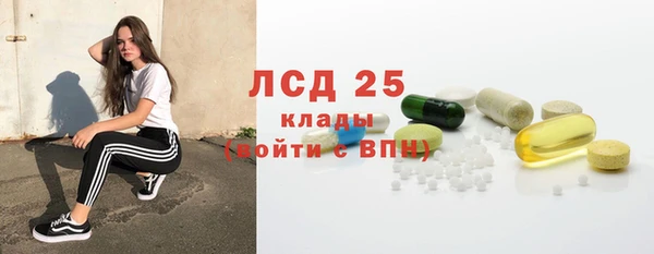 прущие грибы Богородицк